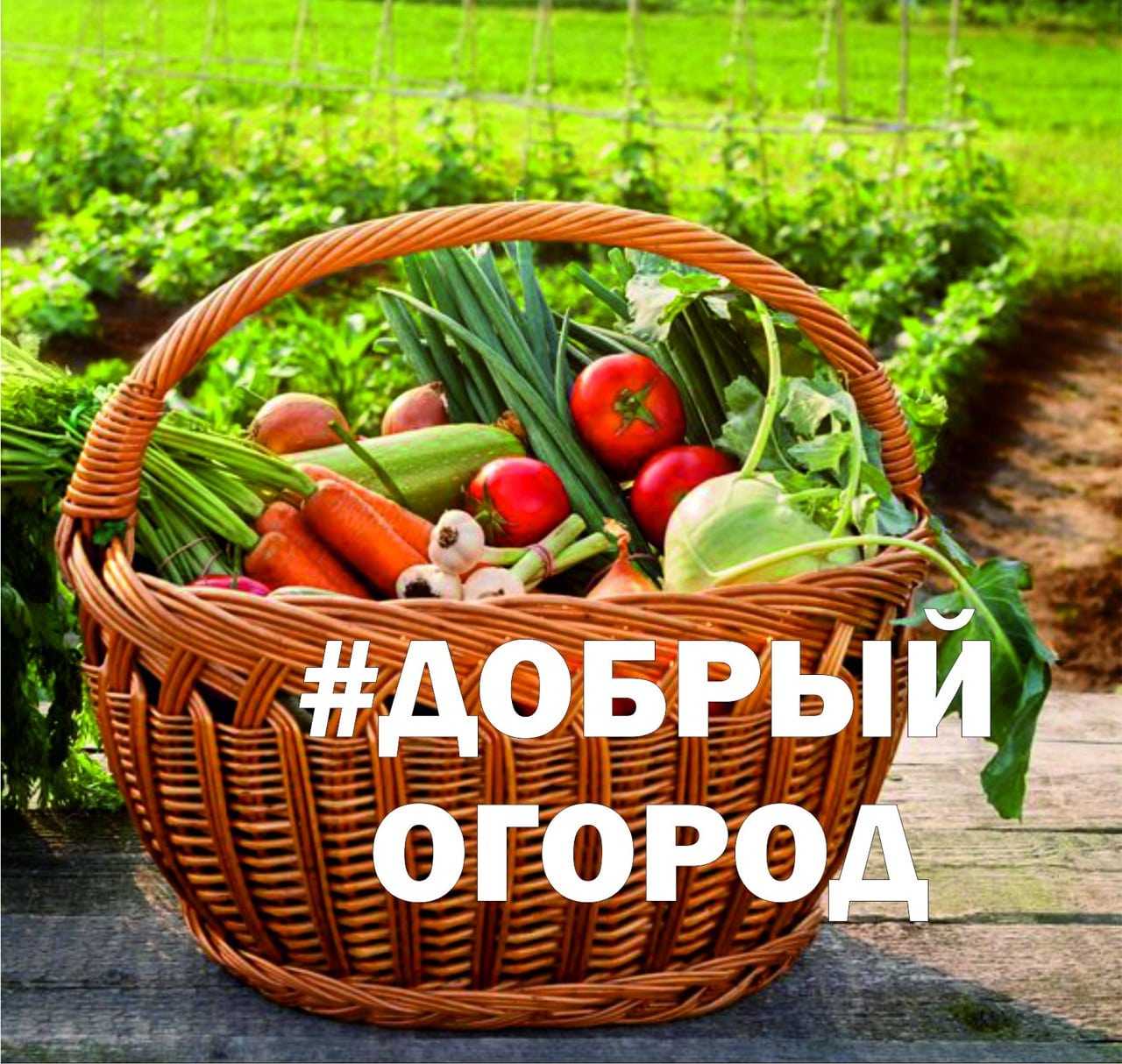 Всероссийская акция