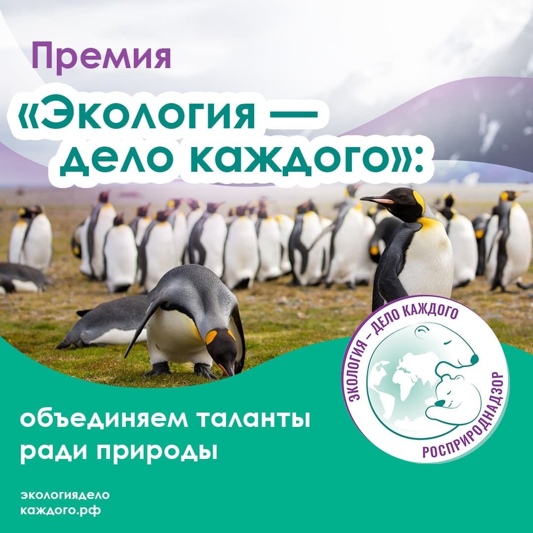Экология — дело каждого!