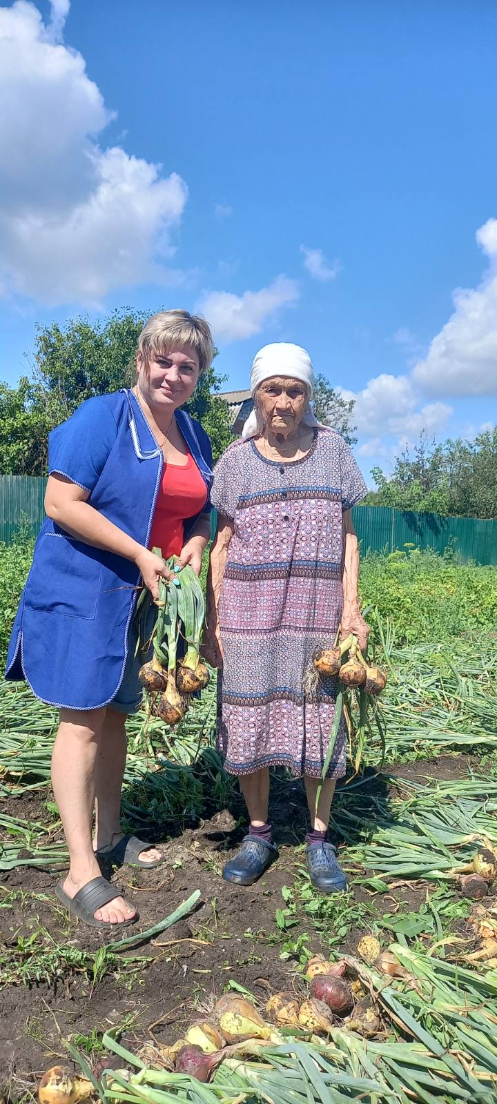 ГБУ «Комплексный центр социального обслуживания населения Сормовского района  города Нижнего Новгорода» - Время собирать урожай!