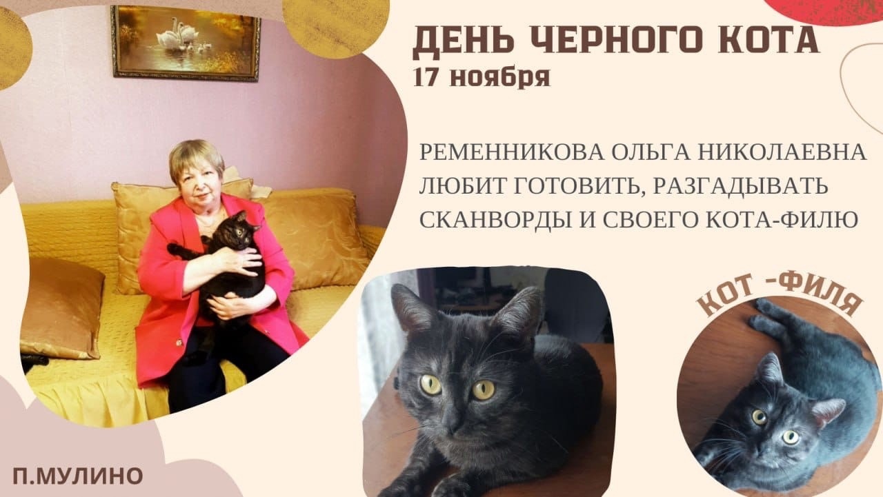 День чёрного кота